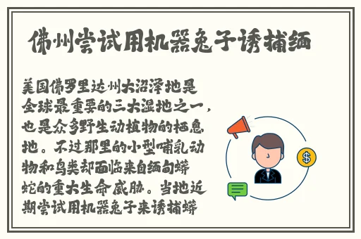 伊人影院蕉久影院2